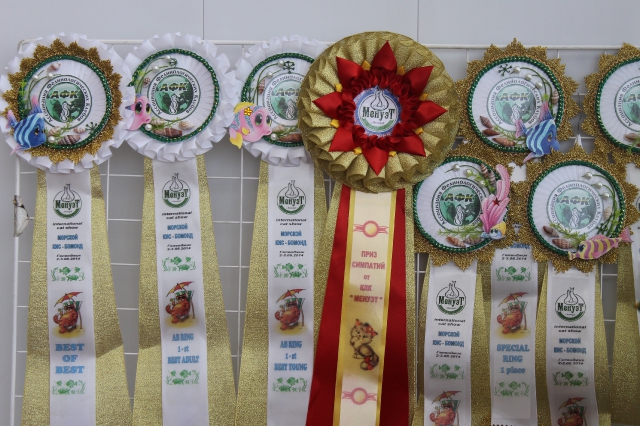 02-03 август 2014 Геленджик