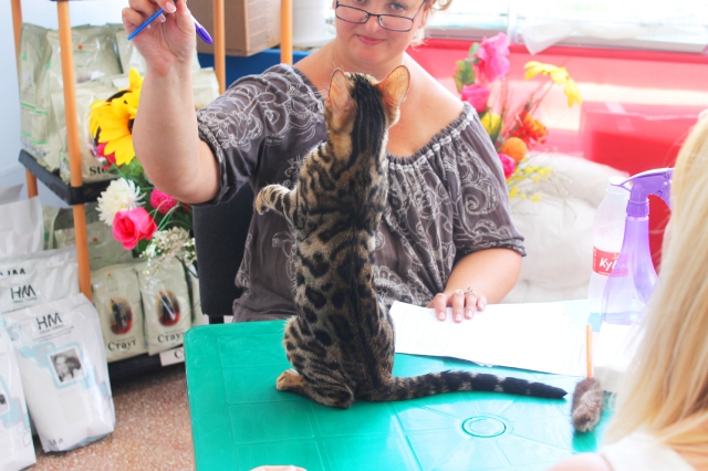 02-03 август 2014 Геленджик