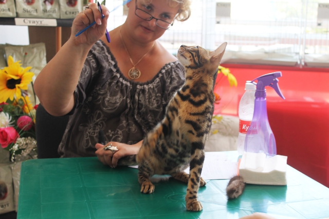 02-03 август 2014 Геленджик