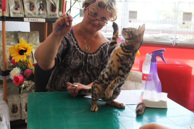 02-03 август 2014 Геленджик