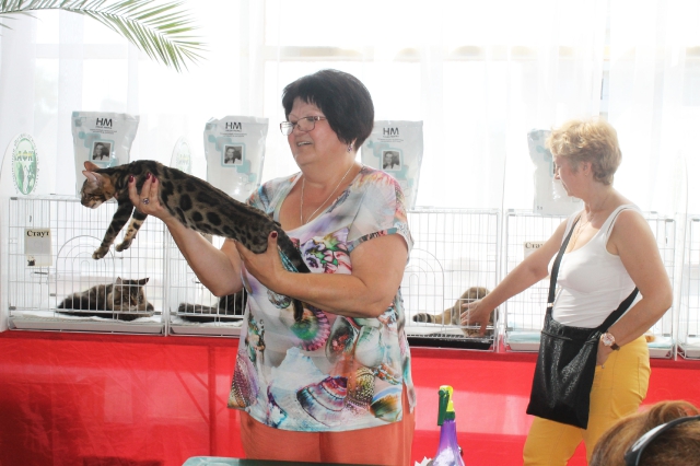 02-03 август 2014 Геленджик