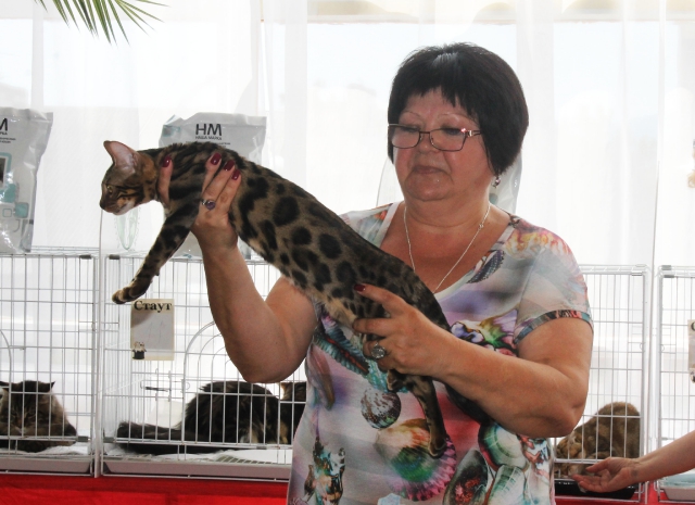 02-03 август 2014 Геленджик