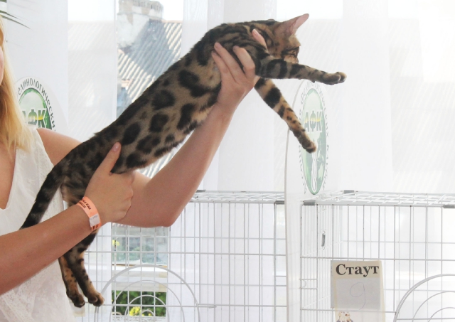 02-03 август 2014 Геленджик