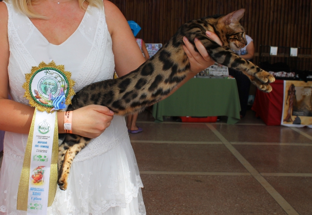 02-03 август 2014 Геленджик