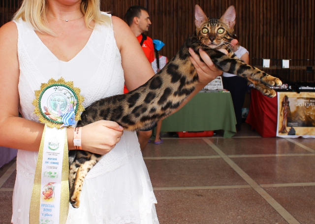 02-03 август 2014 Геленджик