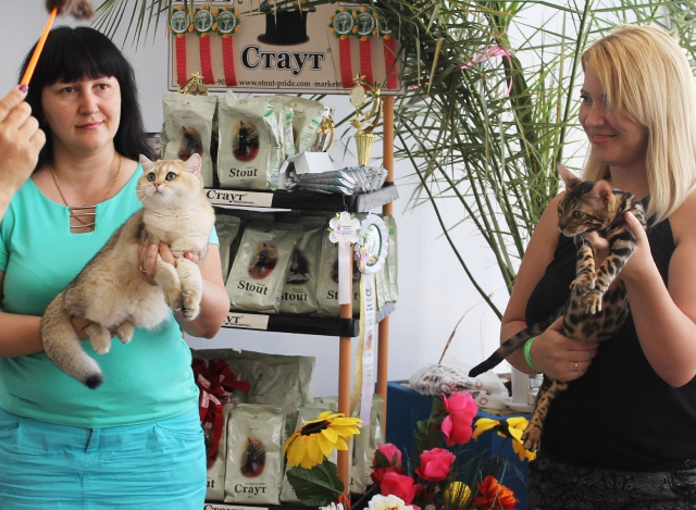 02-03 август 2014 Геленджик