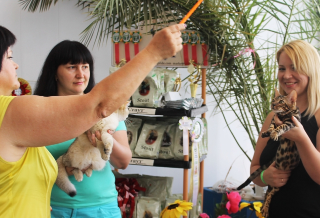 02-03 август 2014 Геленджик