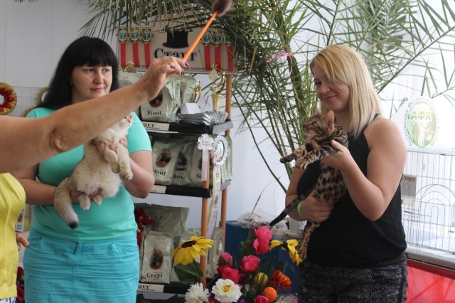 02-03 август 2014 Геленджик