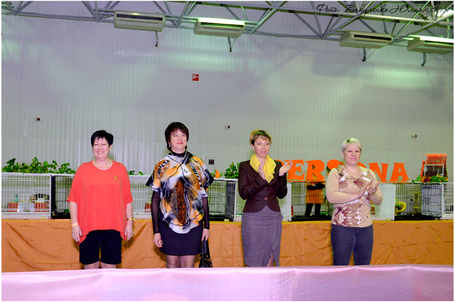 02 ноября 2014 Краснодар