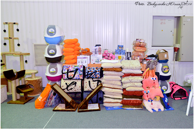 02 ноября 2014 Краснодар