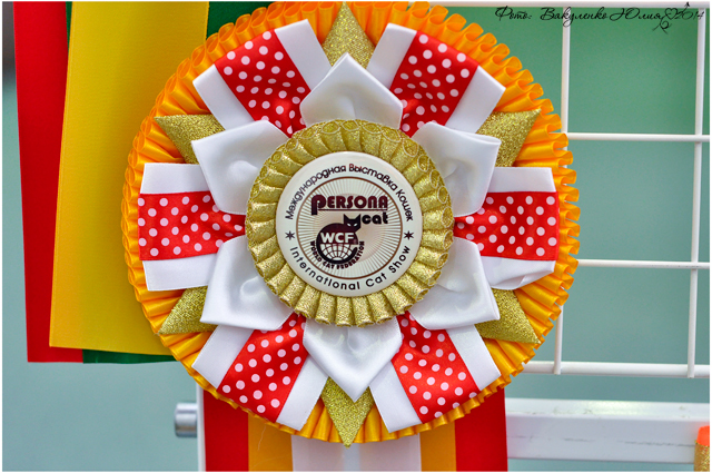 02 ноября 2014 Краснодар