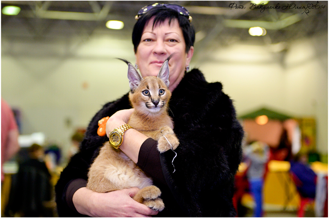 02 ноября 2014 Краснодар