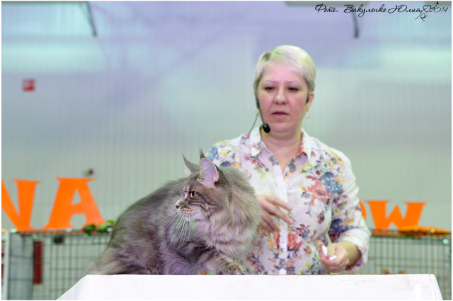 02 ноября 2014 Краснодар