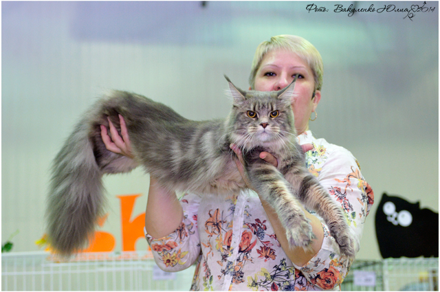 02 ноября 2014 Краснодар