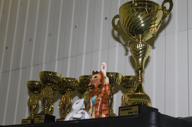 02 ноября 2014 Краснодар