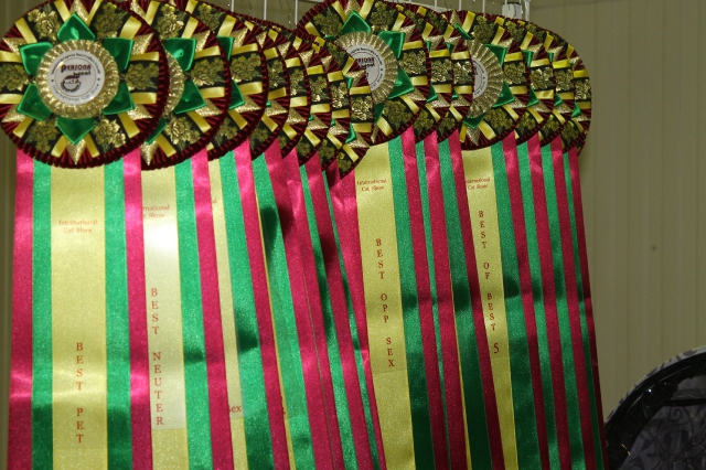 02 ноября 2014 Краснодар