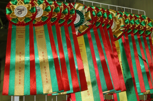 02 ноября 2014 Краснодар