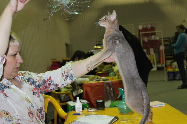 02 ноября 2014 Краснодар