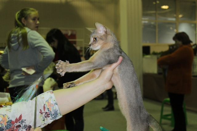 02 ноября 2014 Краснодар