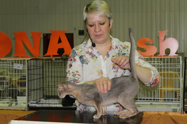 02 ноября 2014 Краснодар