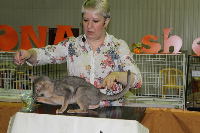 02 ноября 2014 Краснодар