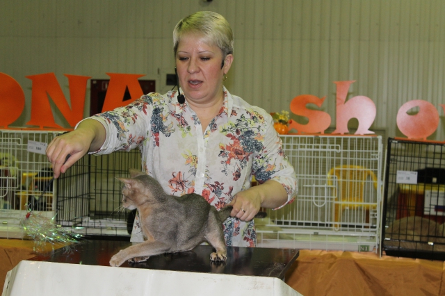 02 ноября 2014 Краснодар