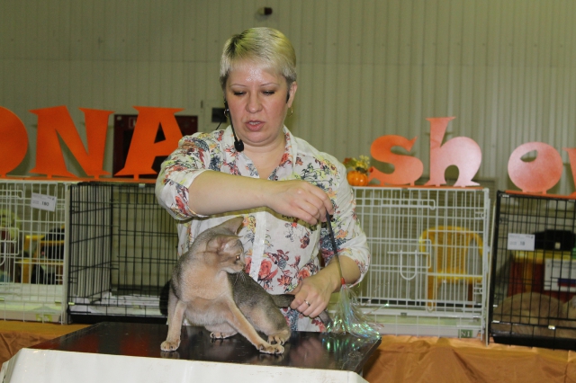 02 ноября 2014 Краснодар