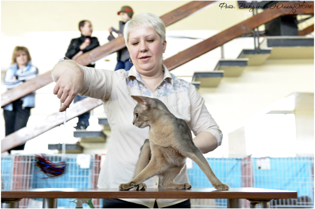 08-09 марта 2014 г. Новороссийск