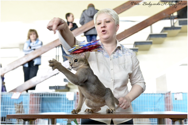 08-09 марта 2014 г. Новороссийск