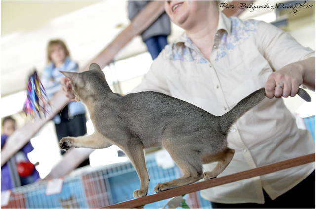 08-09 марта 2014 г. Новороссийск