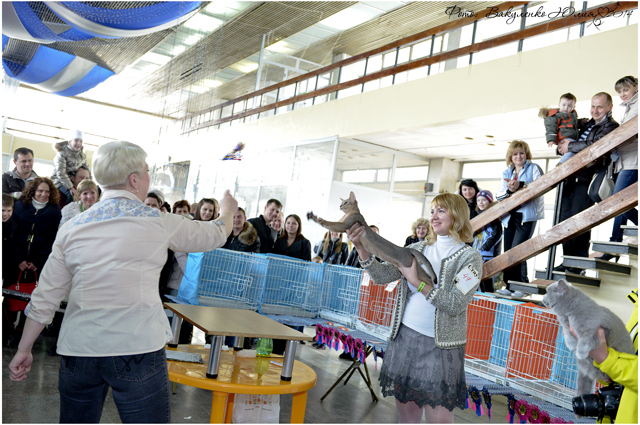 08-09 марта 2014 г. Новороссийск