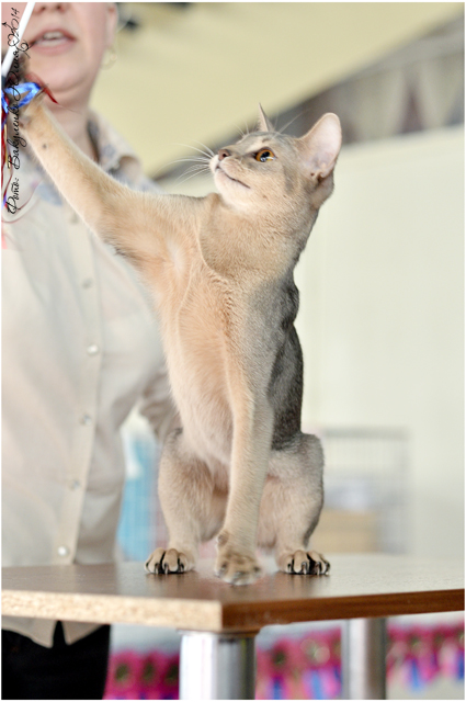 08-09 марта 2014 г. Новороссийск