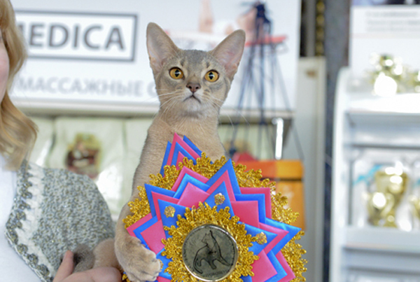 08-09 марта 2014 г. Новороссийск