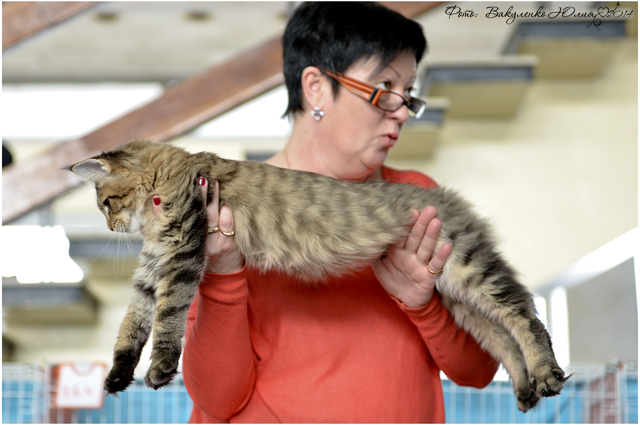 08-09 марта 2014 г. Новороссийск