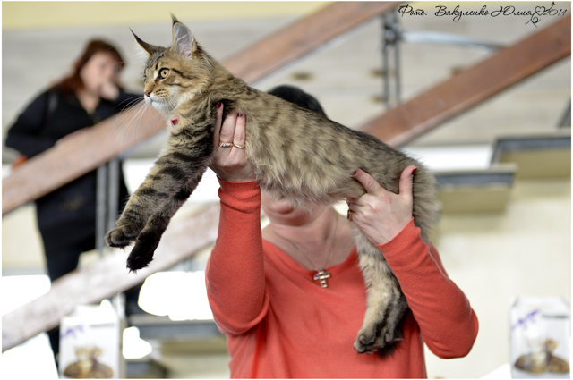 08-09 марта 2014 г. Новороссийск