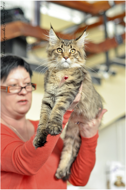 08-09 марта 2014 г. Новороссийск