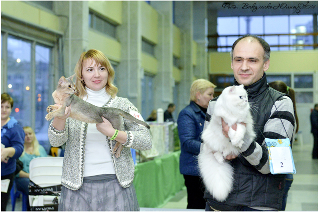 08-09 марта 2014 г. Новороссийск