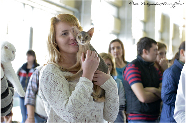 08-09 марта 2014 г. Новороссийск