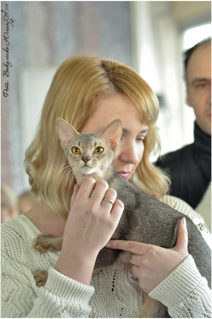 08-09 марта 2014 г. Новороссийск