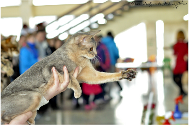 08-09 марта 2014 г. Новороссийск