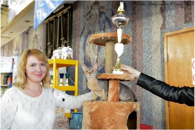 08-09 марта 2014 г. Новороссийск