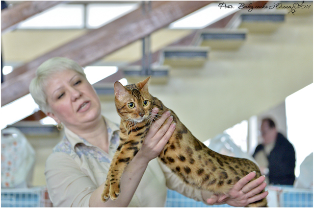 08-09 марта 2014 г. Новороссийск