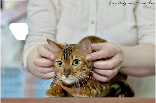 08-09 марта 2014 г. Новороссийск