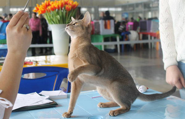 08-09 марта 2014 г. Новороссийск