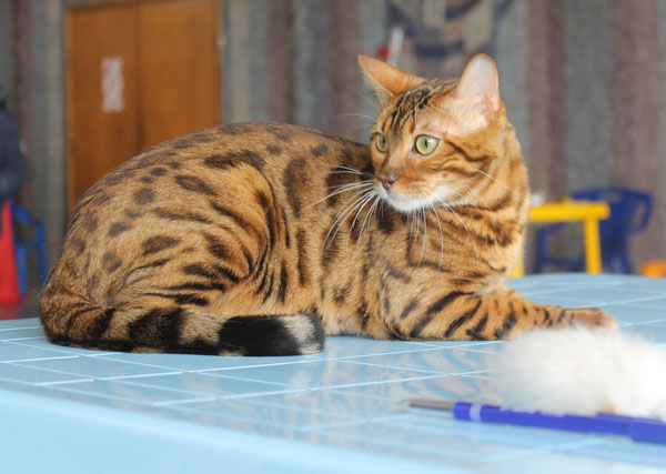 08-09 марта 2014 г. Новороссийск