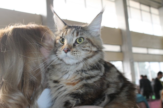 08-09 марта 2014 г. Новороссийск