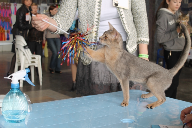 08-09 марта 2014 г. Новороссийск