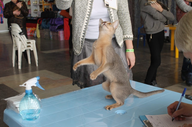 08-09 марта 2014 г. Новороссийск