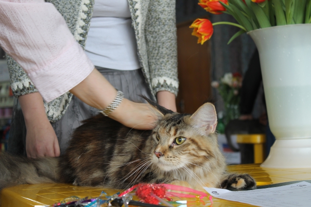 08-09 марта 2014 г. Новороссийск