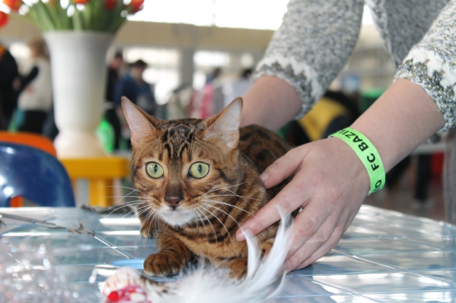 08-09 марта 2014 г. Новороссийск